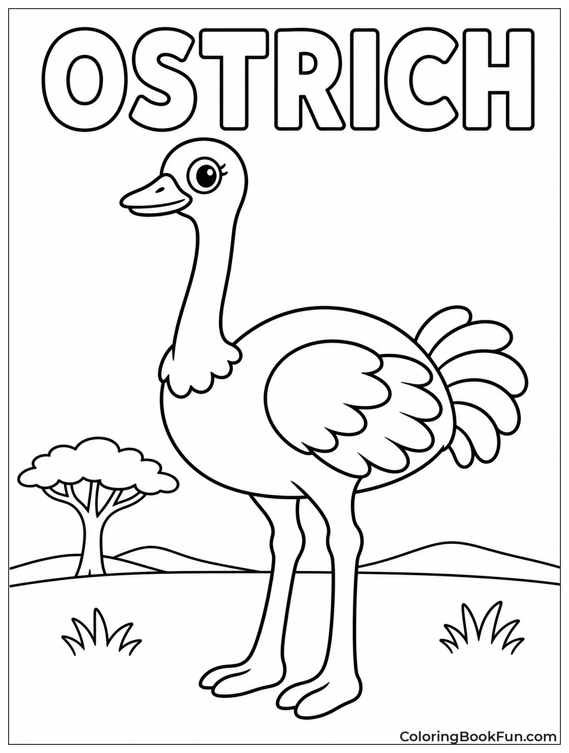 Simple Ostrich Stands Still