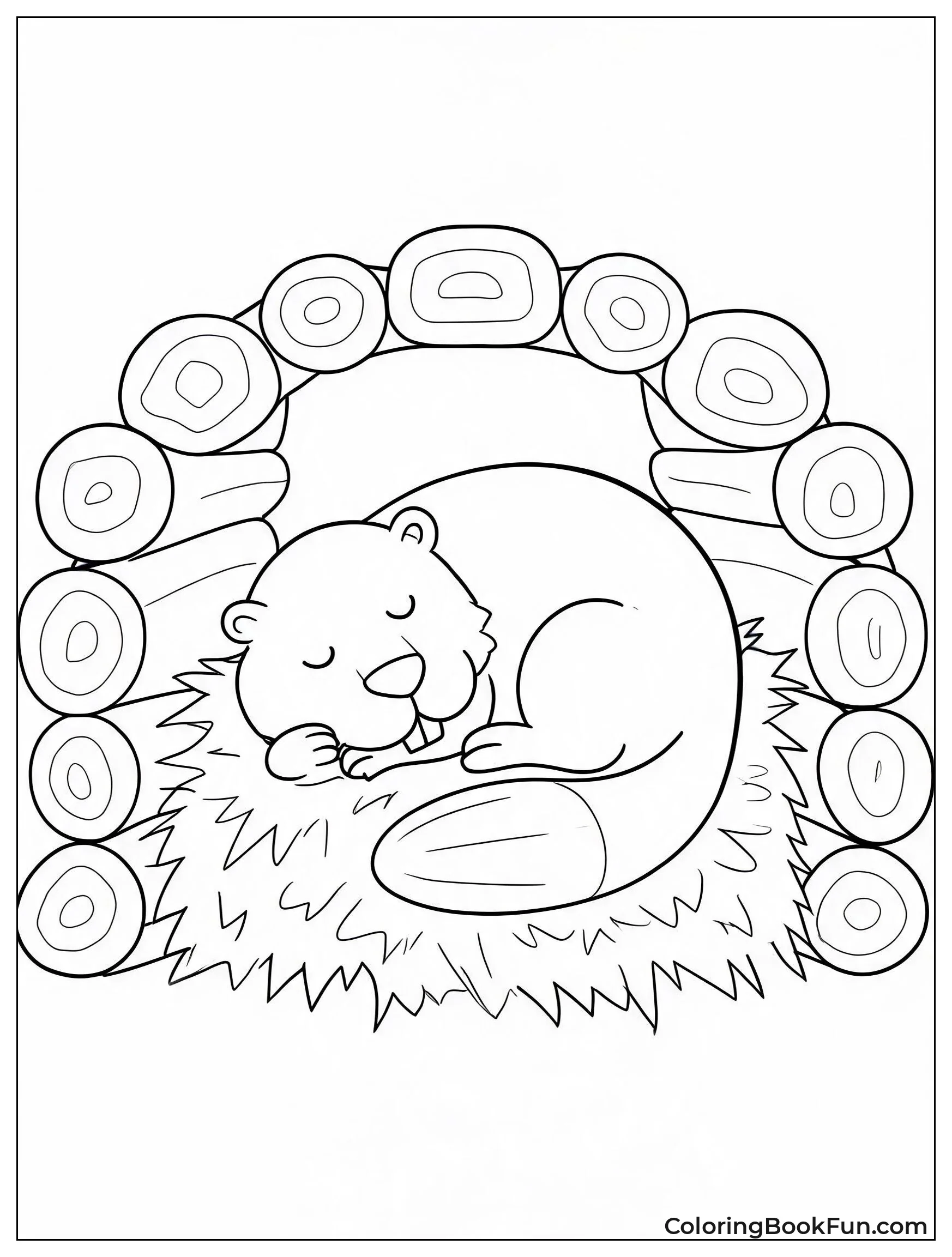 Beaver Sleeps Inside Cozy Lodge