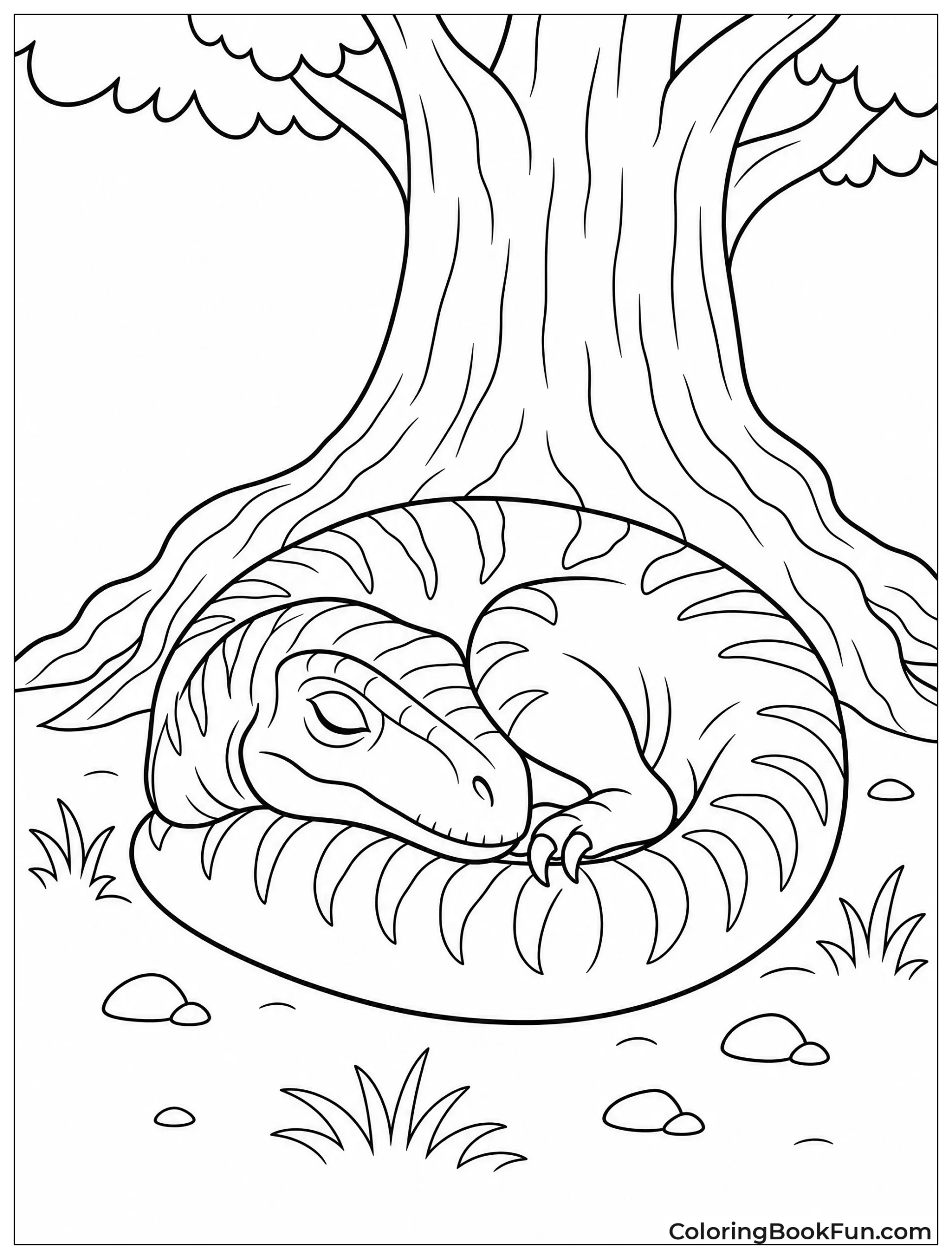 Sleeping Raptor Curled Up