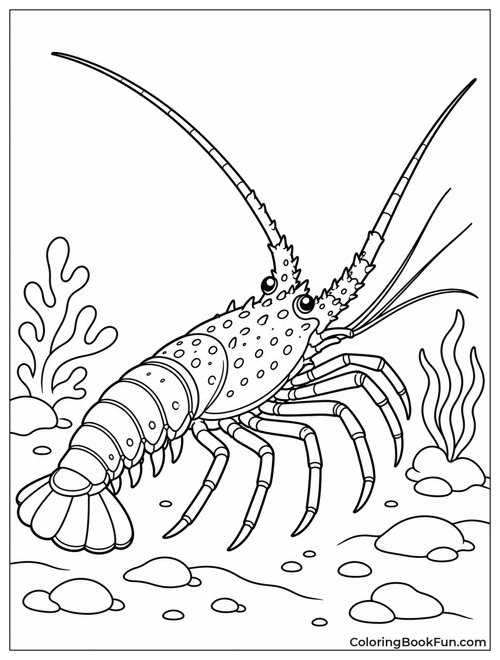 Spiny Lobster with Long Antennae