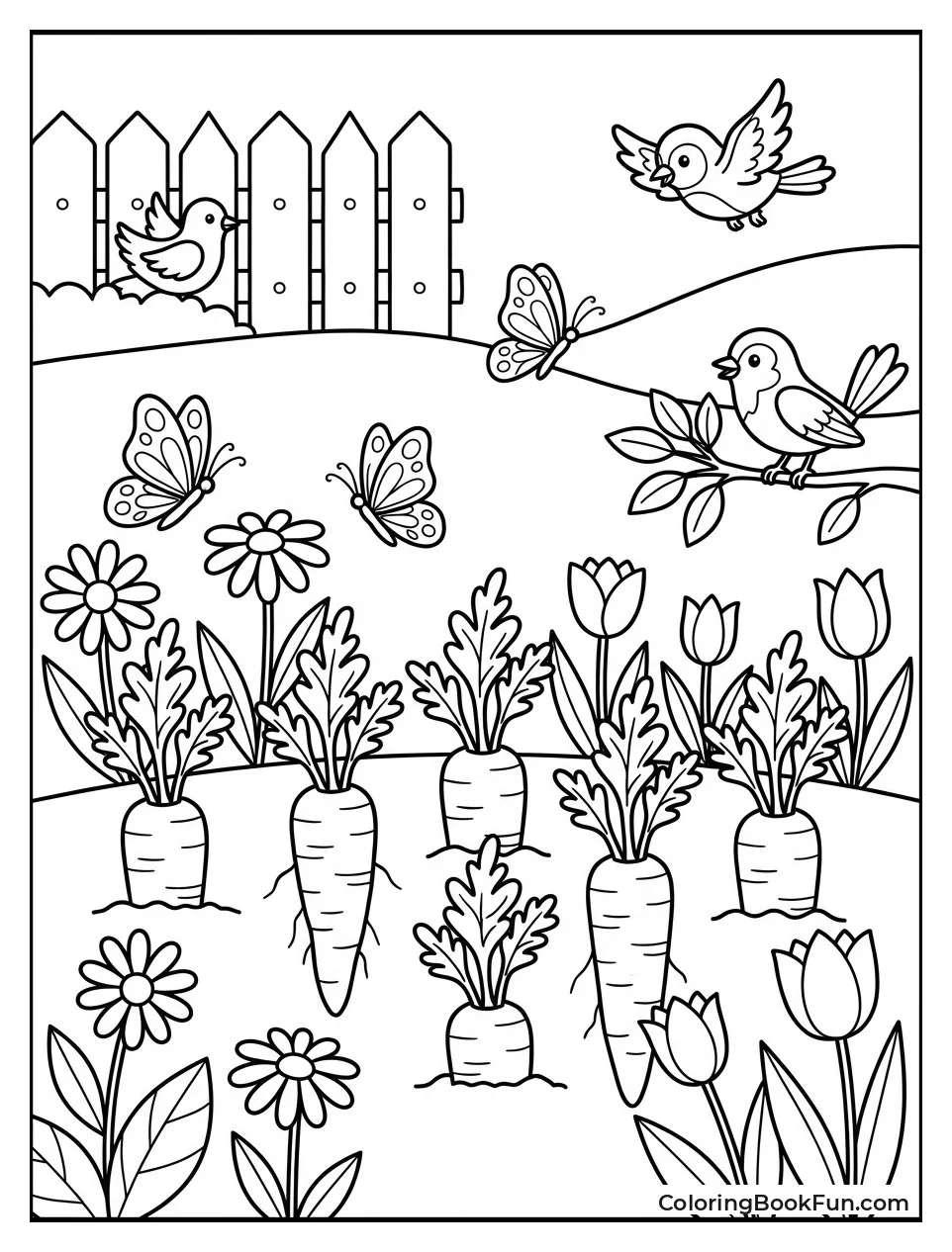 Carrots Growing in Spring Garden
