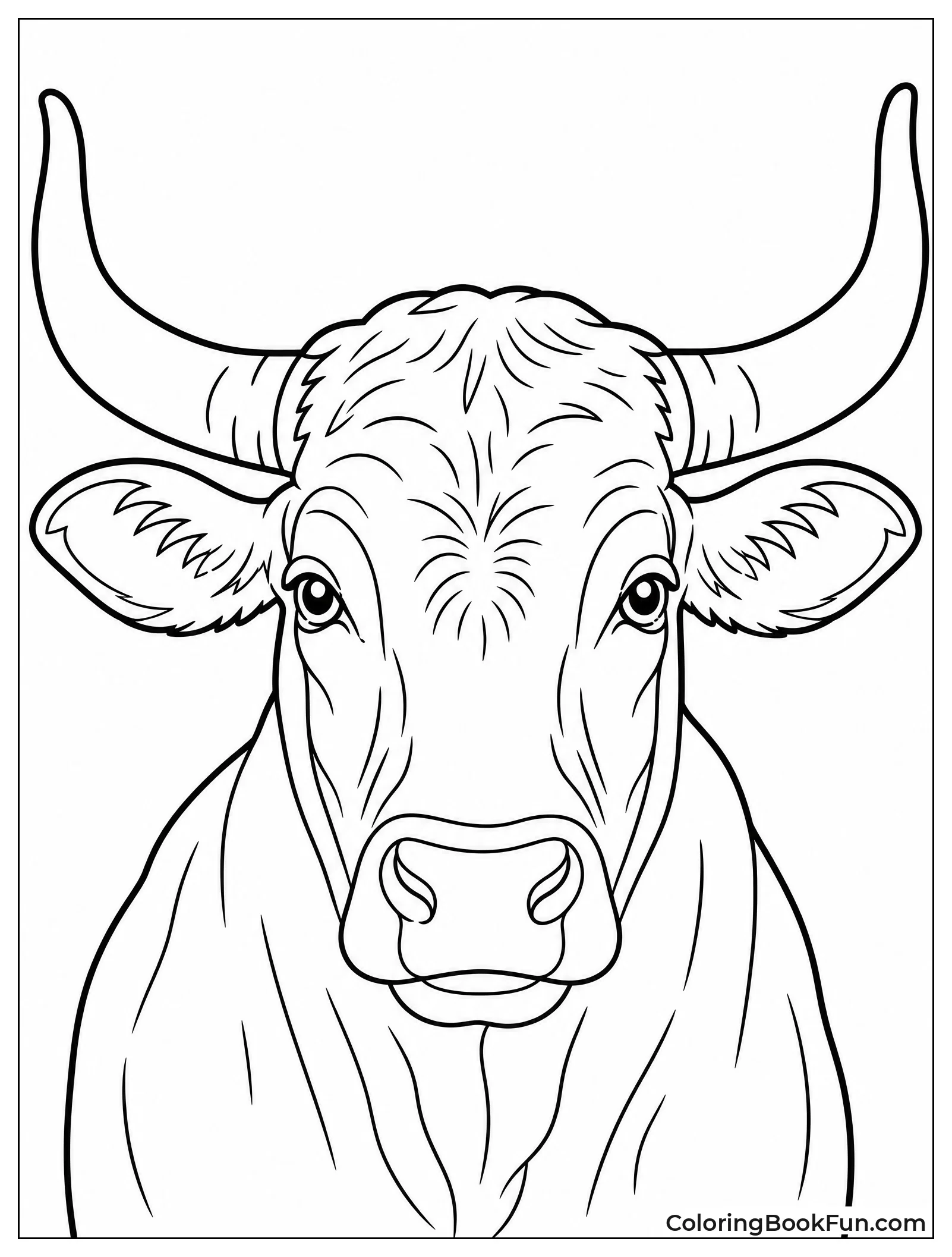 Longhorn Steer Shows Big Horns