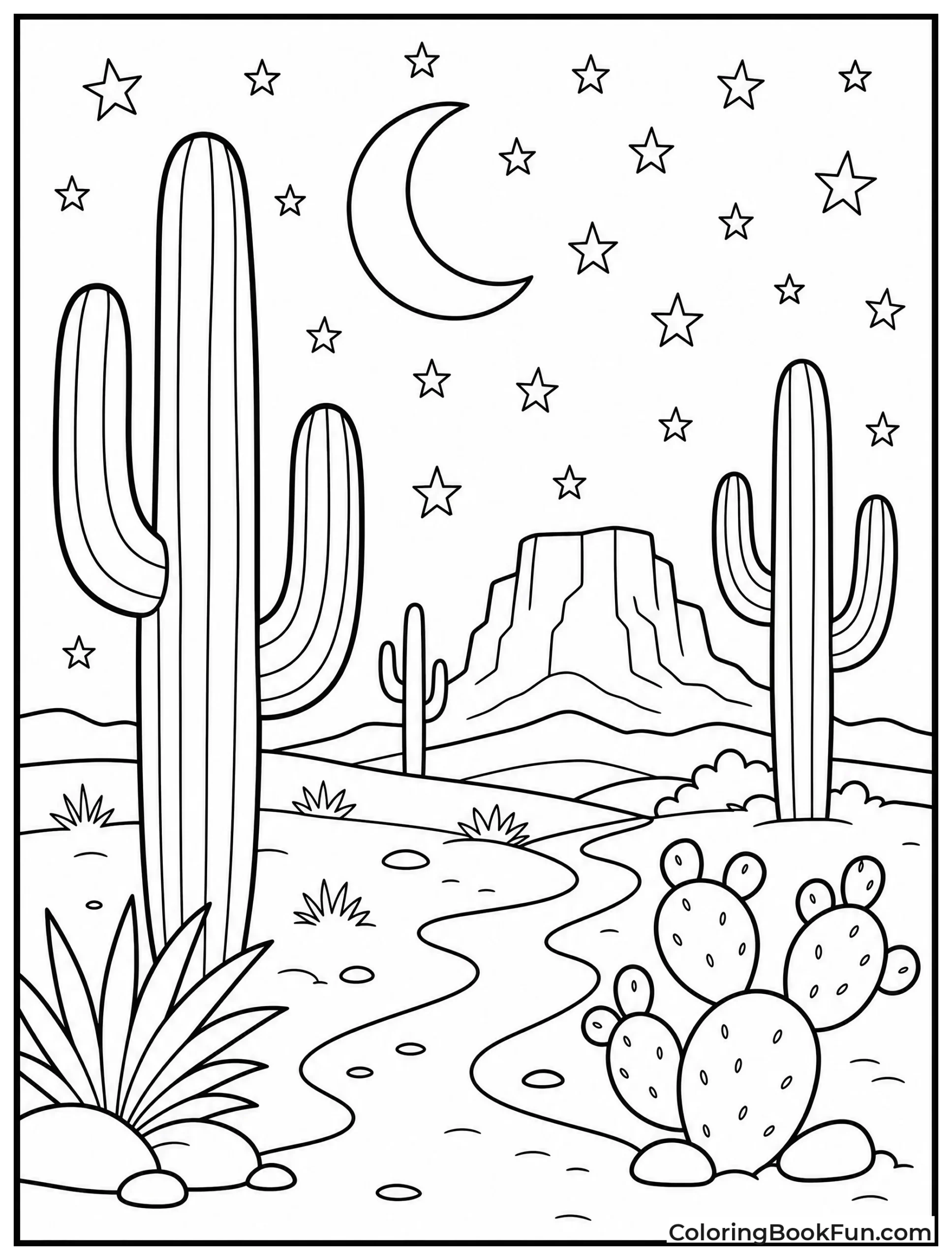 Stars Shine Over Desert Cacti