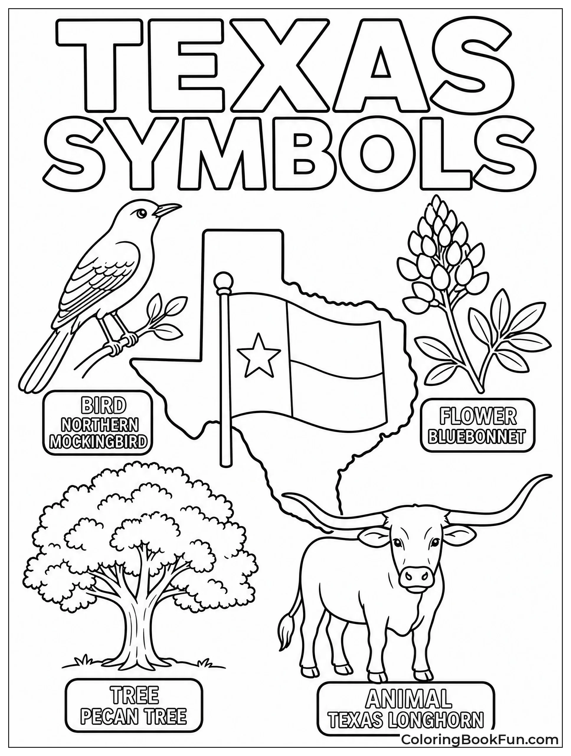 Texas Symbols Labeled for Kids