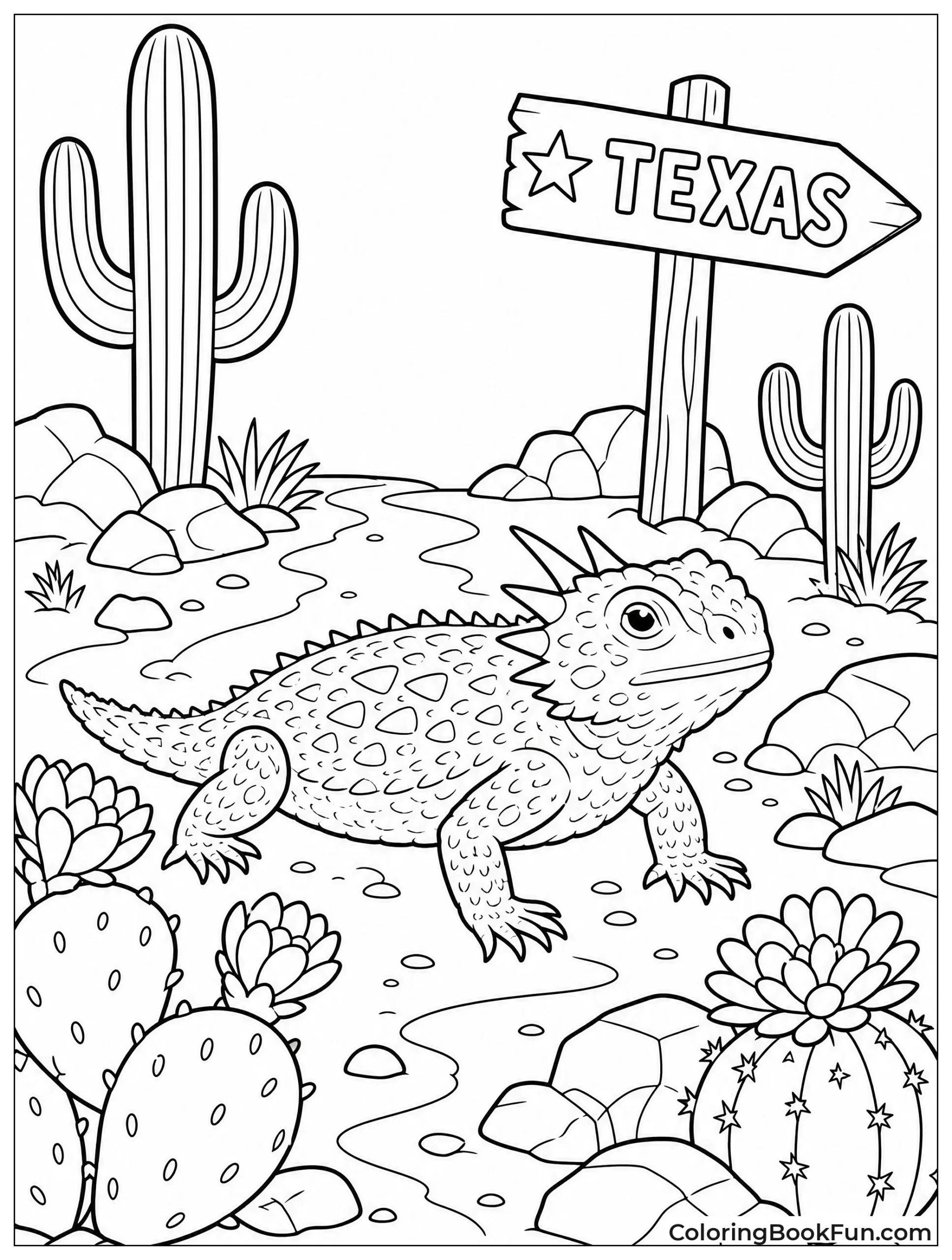 Lizard Rests on Desert Trail