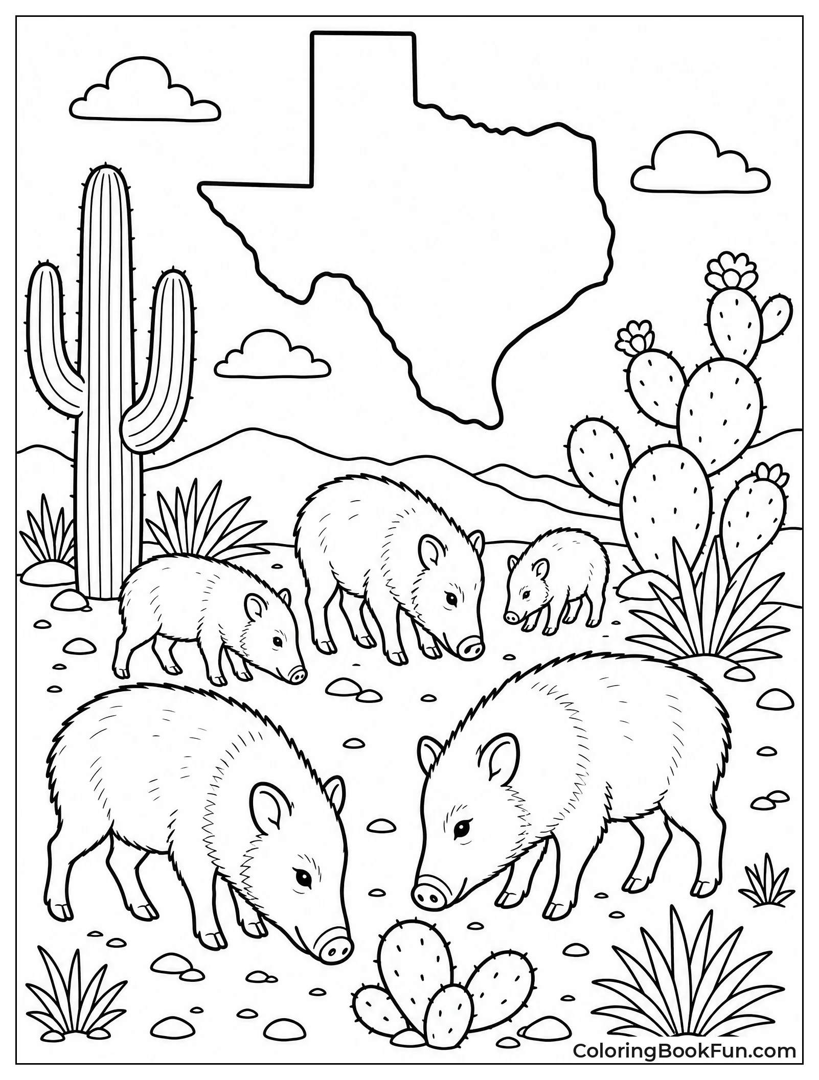 Javelinas Forage Near Desert Cacti