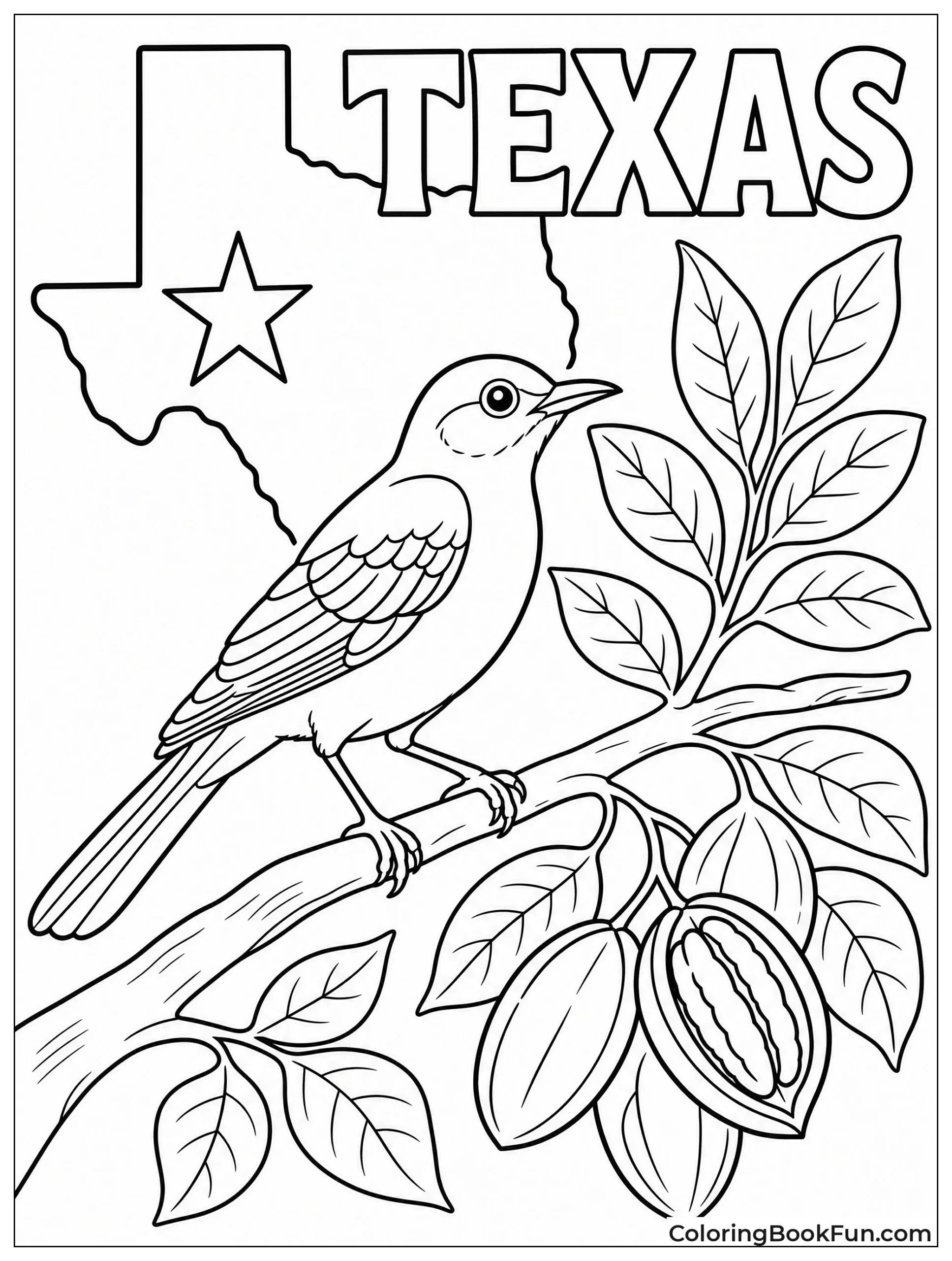 Mockingbird Perches on Pecan Branch