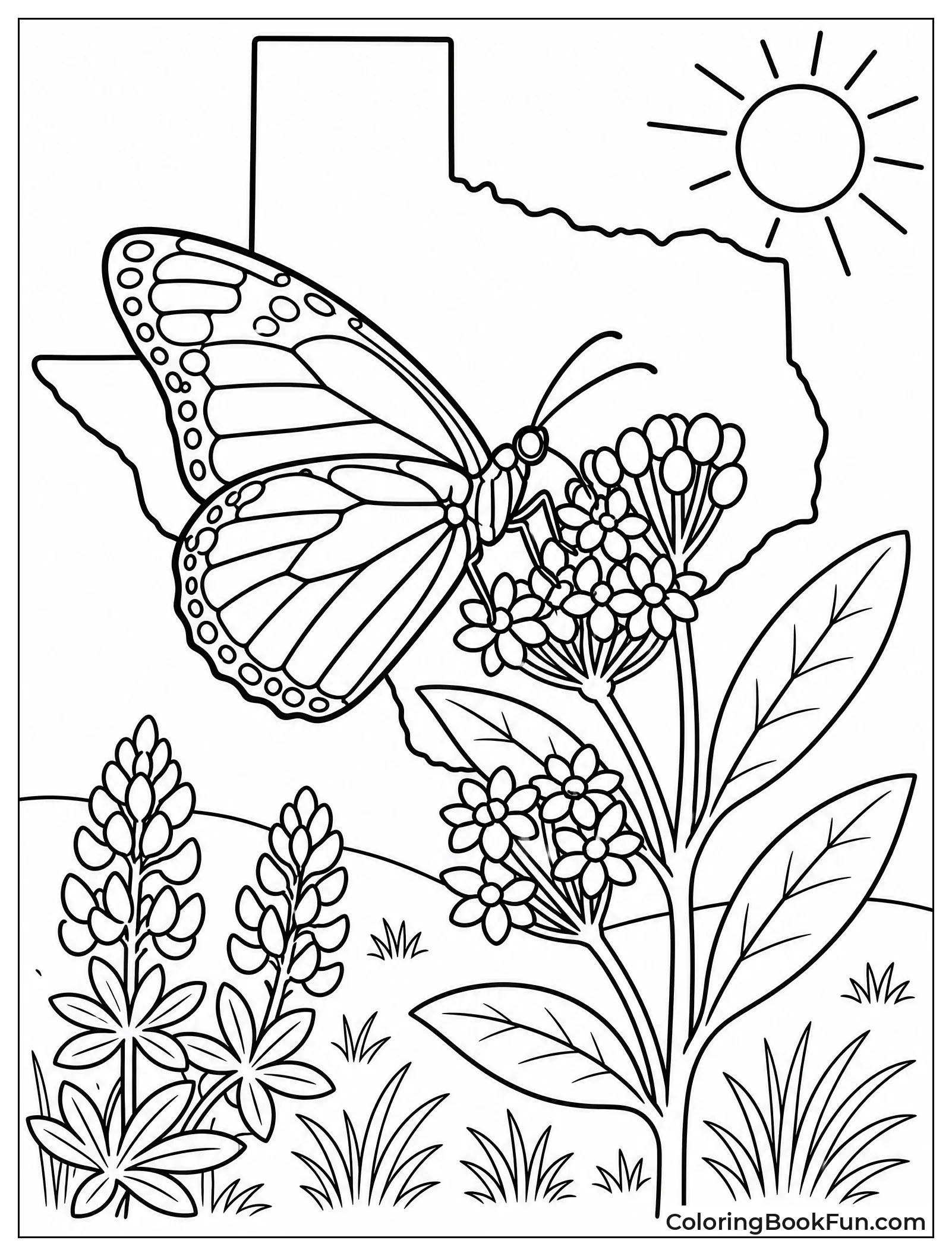 Butterfly Lands on Milkweed Plant