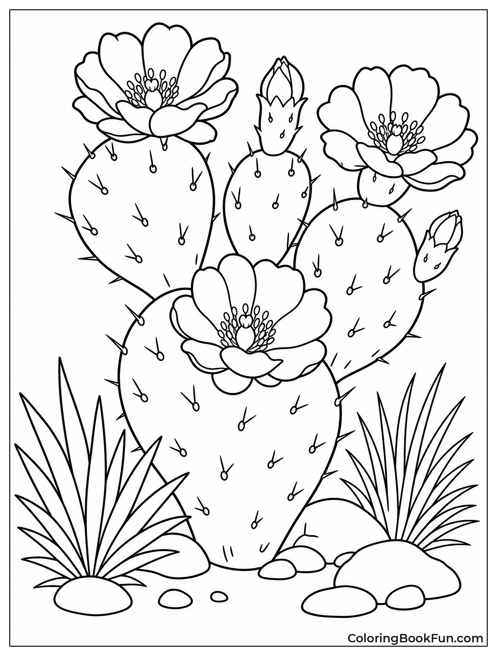 Cactus Blooms in Desert Sun