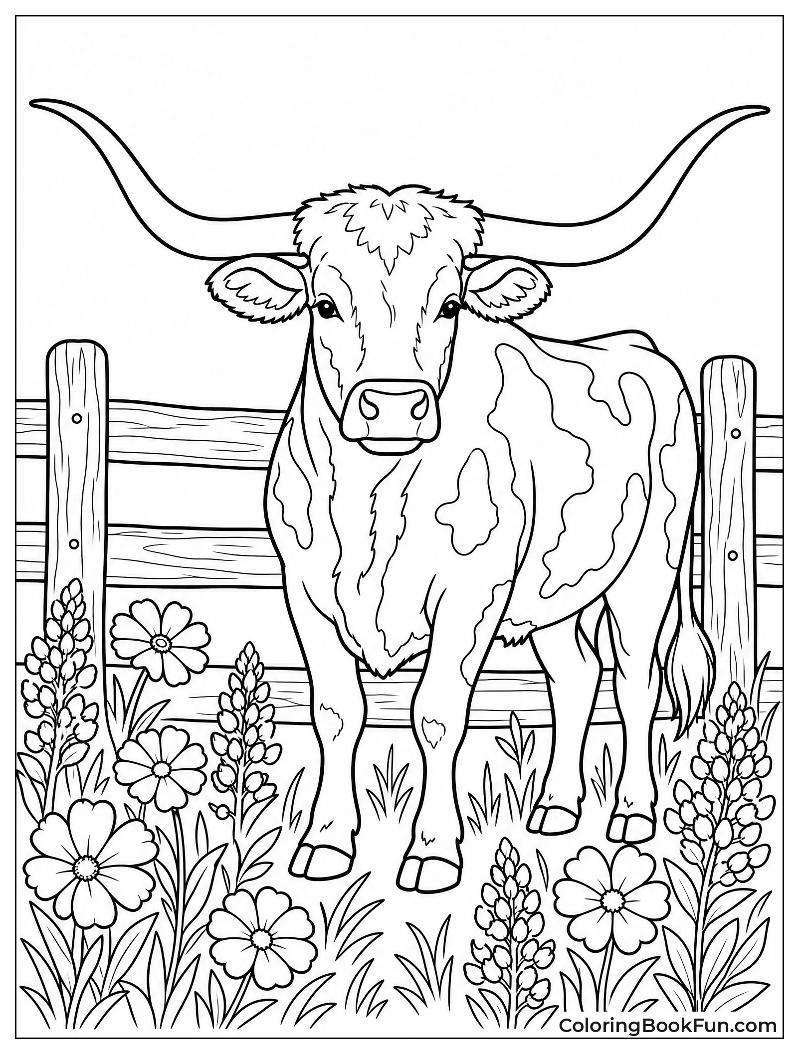 Longhorn Stands by Wooden Fence