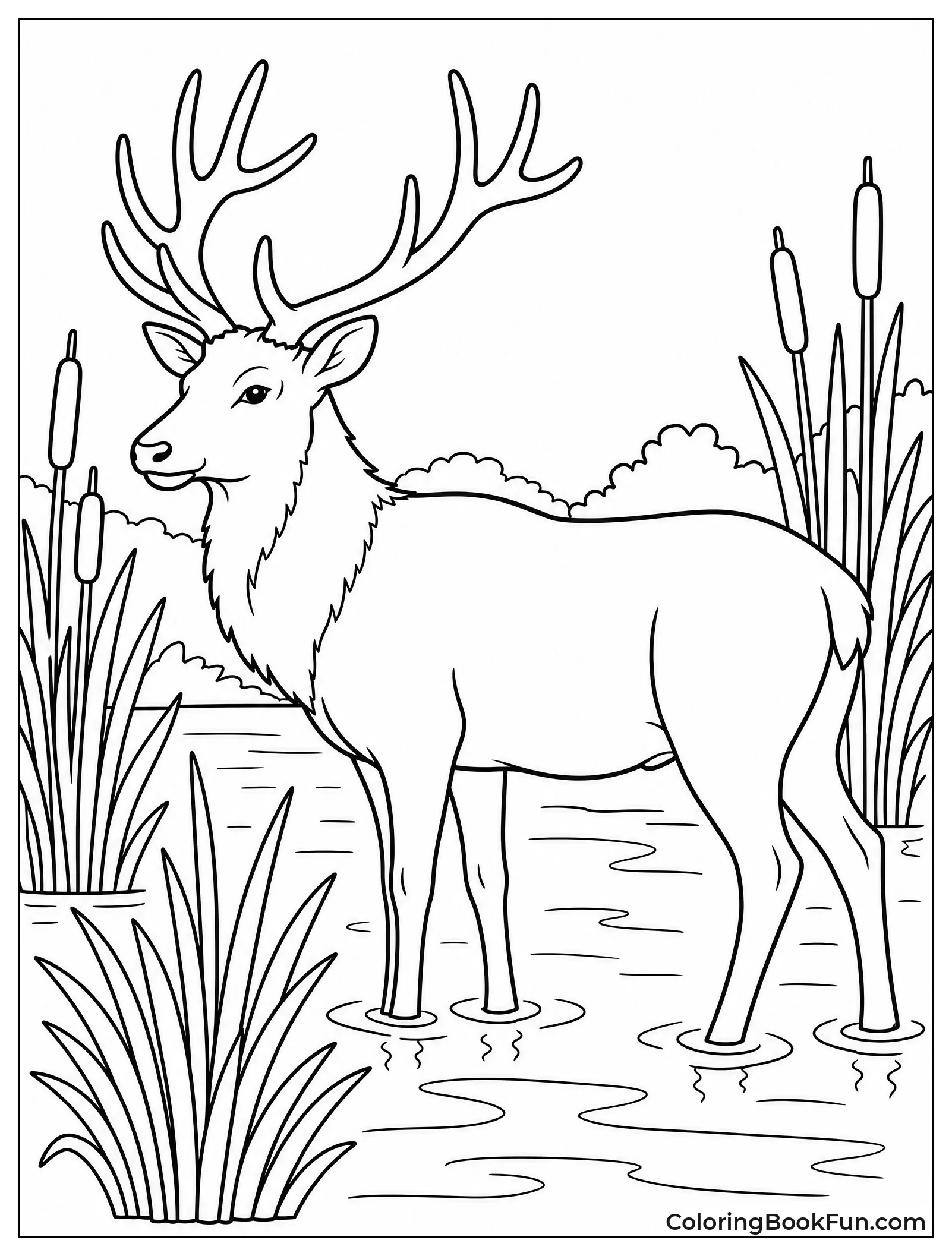 Tule Elk Standing in Reeds