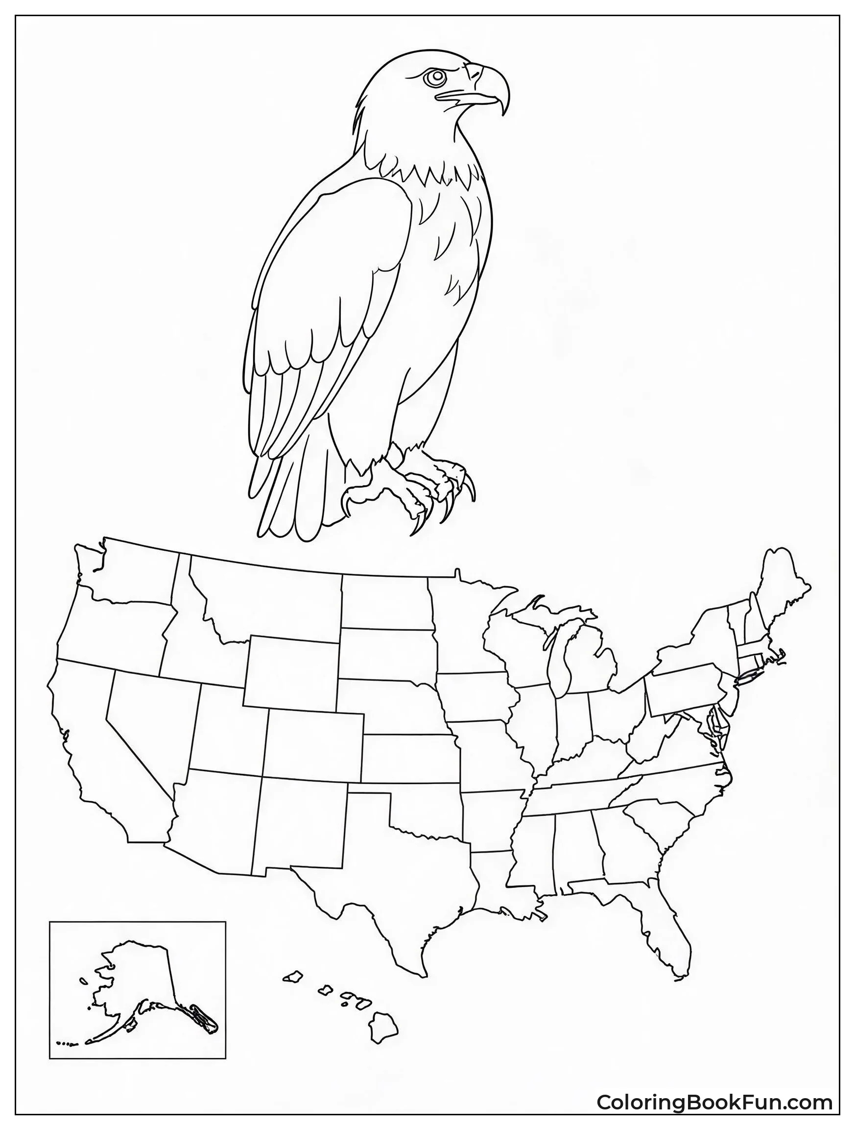 Eagle Perches on USA Map