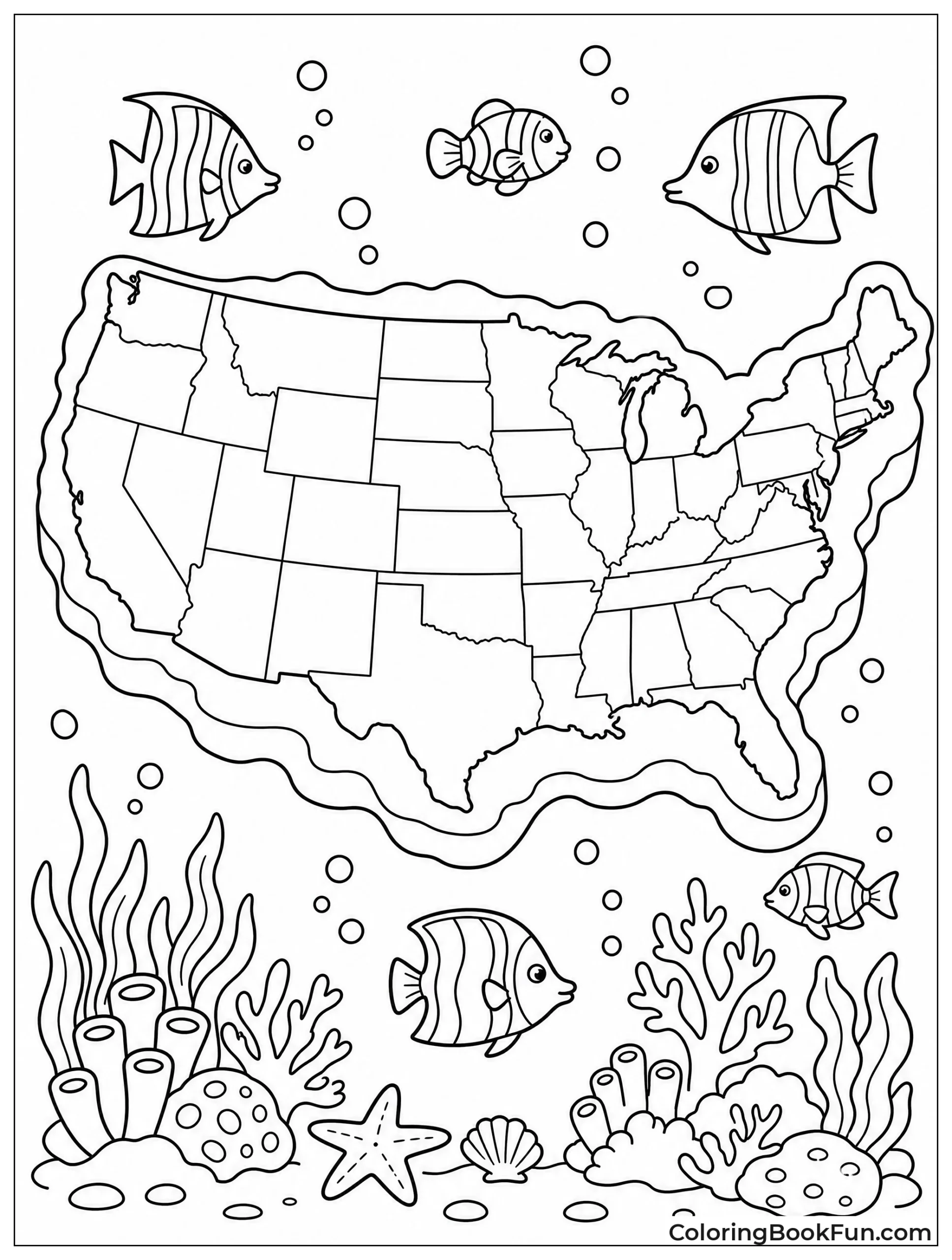 Fish Swim Around USA Island