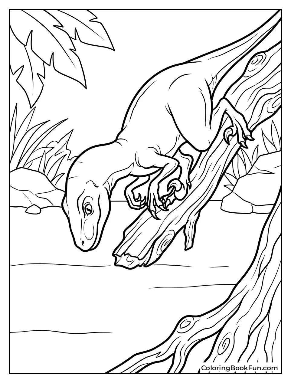 Raptor Climbing a Tall Tree