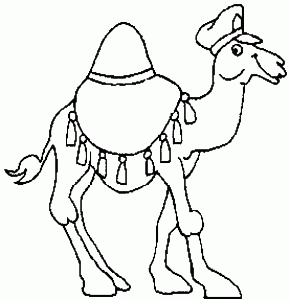 camel-5