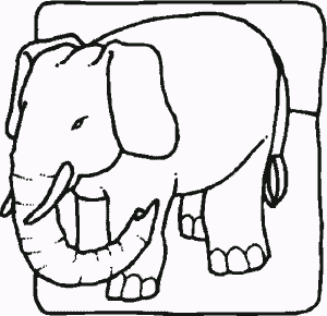elephanr