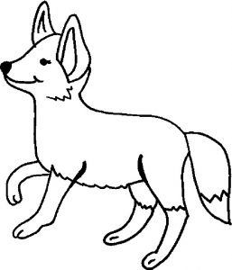 fox-11