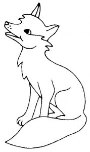 fox-18