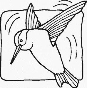 hummingr