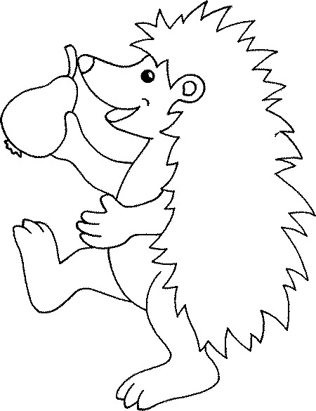 Hedgehog Coloring Book: Hedgehog Coloring Pages, Over 40 Pages to Color, Cute Atelerix Hedgehog Colouring Pages for Boys, Girls, and Kids of Ages 4-8 and Up - [Book]