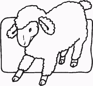 sheepr