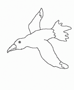spring-gull