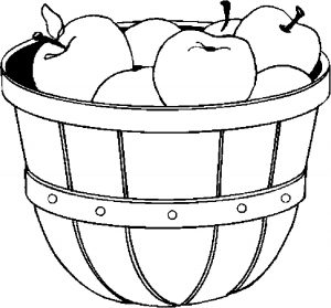 apples-bushel-09
