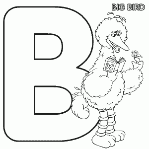 b_bigbird