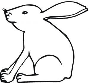bunny-4