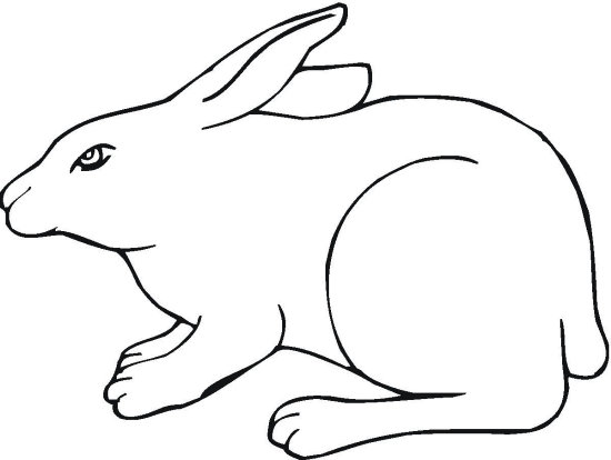12 Best Bunny Coloring Pages for Kids - Updated 2018