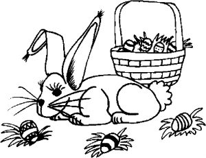 bunny-with-basket-14