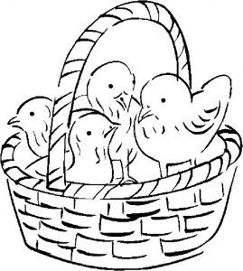 chicks-in-basket-1