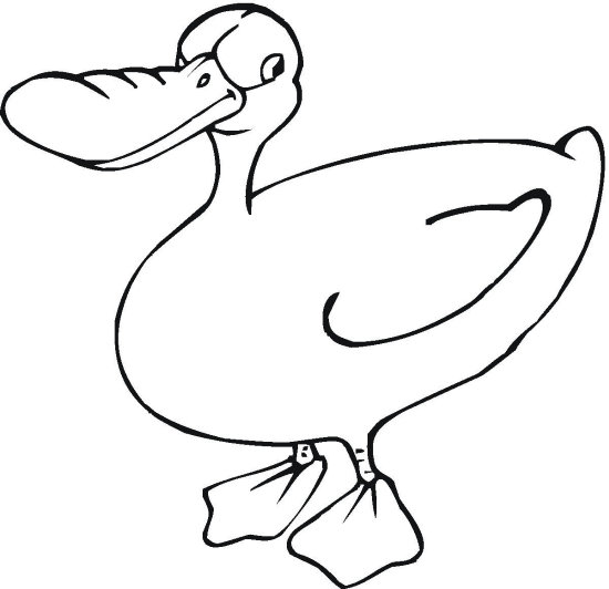 26 Best Ducks Coloring Pages for Kids - Updated 2018