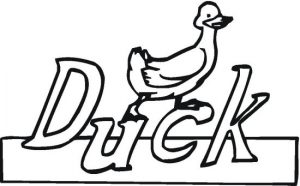 duck-3