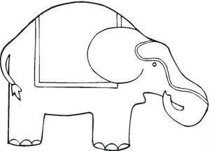elephant-10