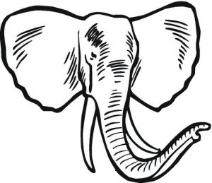 elephant-14