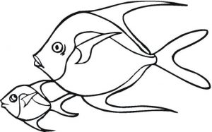16 Best Fish Coloring Pages for Kids - Updated 2018