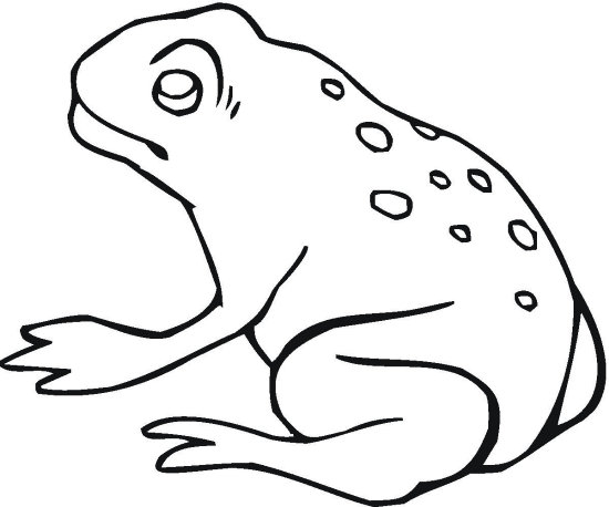 14 Best Frog Coloring Pages for Kids - Updated 2018