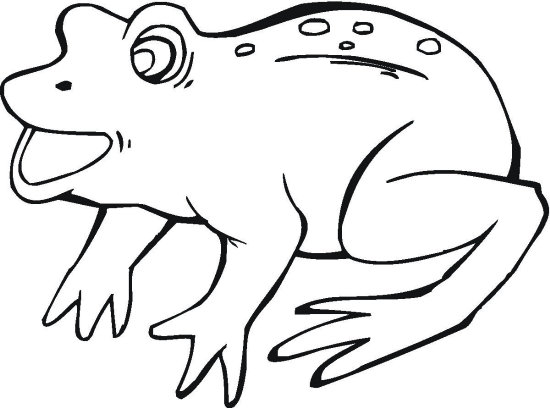 14 Best Frog Coloring Pages for Kids - Updated 2018