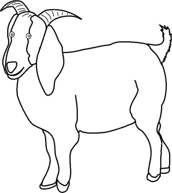 60 Best Farm Animals Coloring Pages for Kids - Updated 2018
