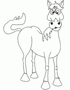 horsepic2