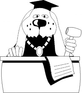 judge-dog