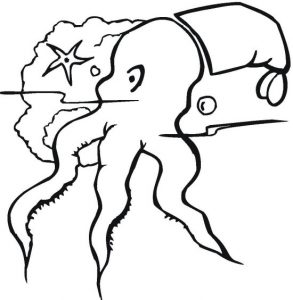 octopus-2