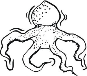 4 best octopus coloring pages for kids  updated 2018