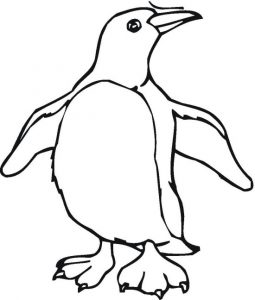 penguin-9