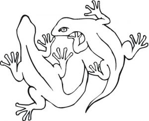 20 best reptiles coloring pages for kids updated 2018