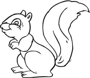 squirrel-3