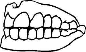 teeth-2