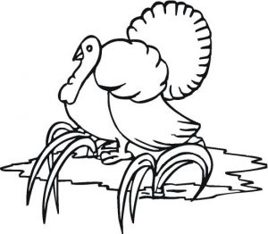 17 Best Turkeys Coloring Pages for Kids - Updated 2018