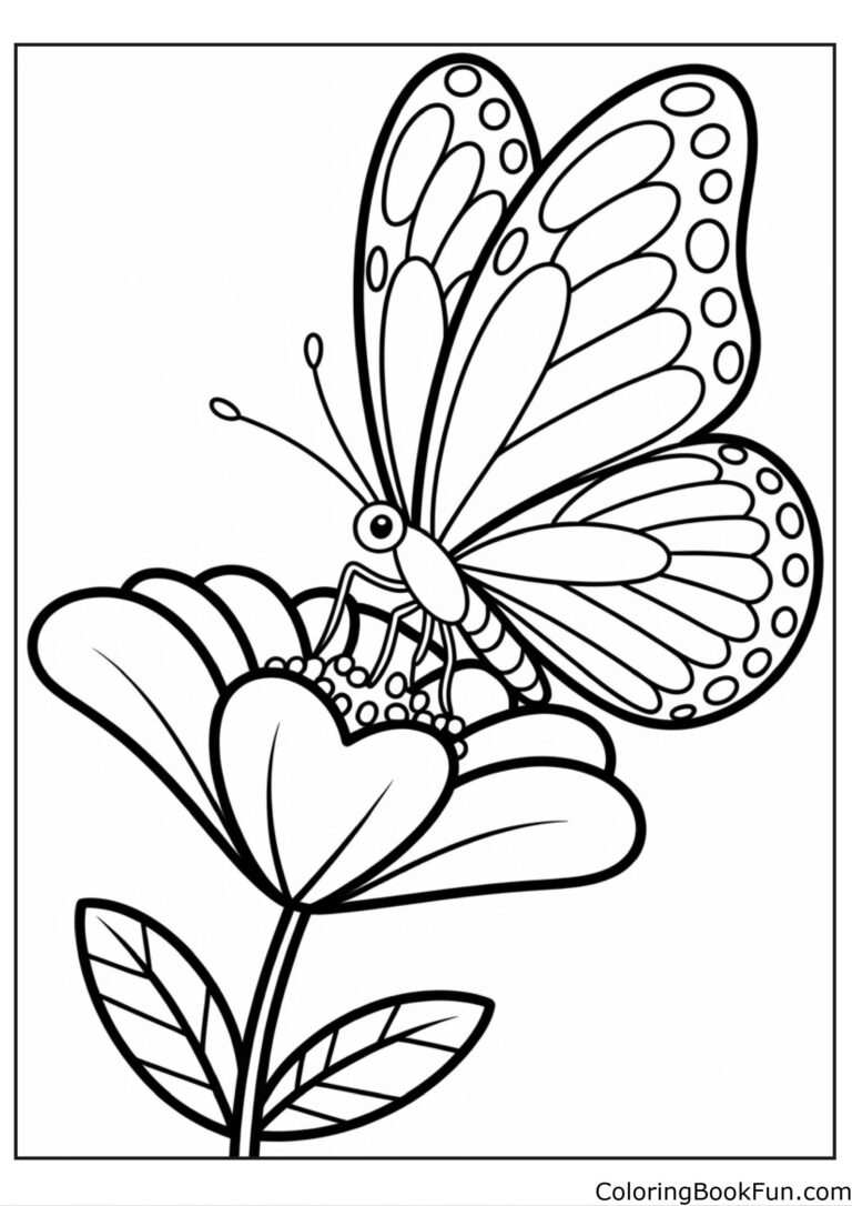 Butterfly Drinking Nectar